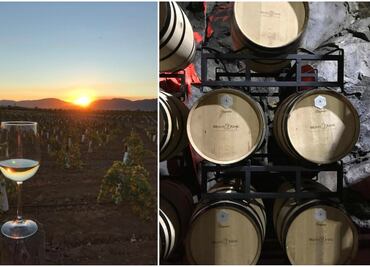 La sorprendente bodega de Monte Xanic