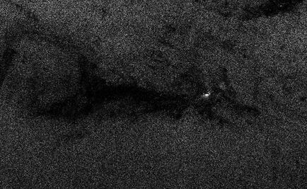 ¿Un gato o un zorro? Esto fue lo que la ESA captó en Orión