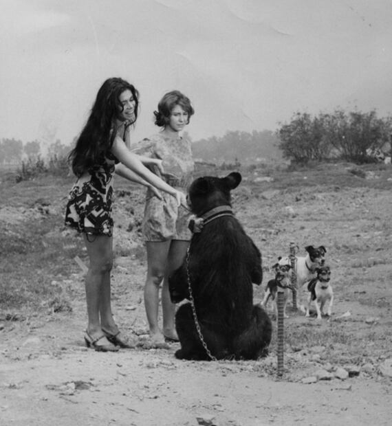 Momentos para recordar a la actriz Meche Carreño tras su muerte