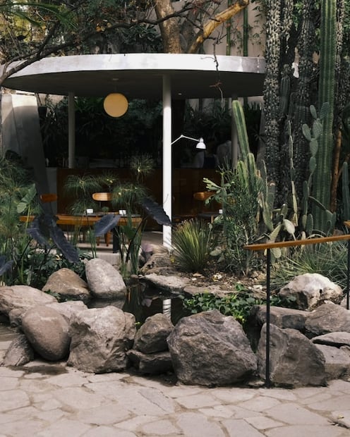 Botánico, el nuevo spot verde en la Condesa