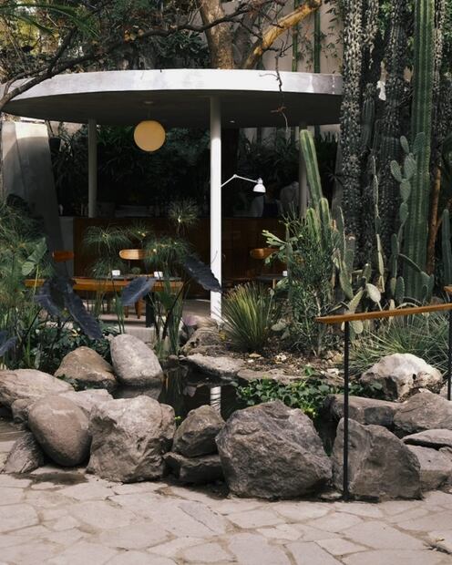 Botánico, el nuevo spot verde en la Condesa