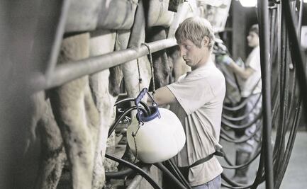 Pandemia pega a lácteos orgánicos