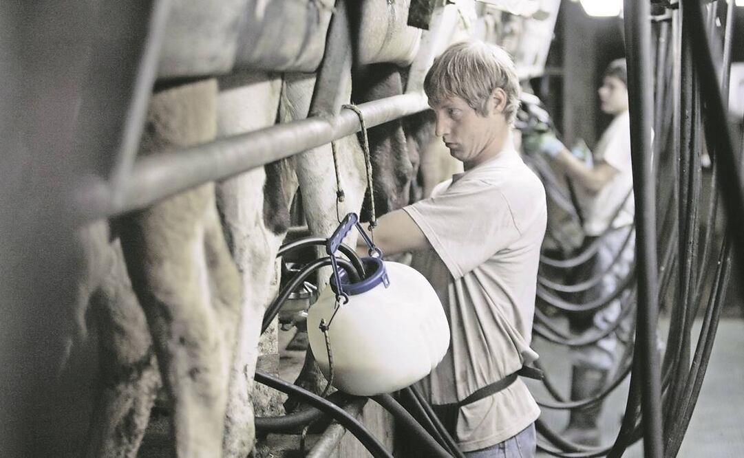 De acuerdo con productores, los lácteos se han encarecido poco más de 20%. Foto: Archivo EL UNIVERSAL