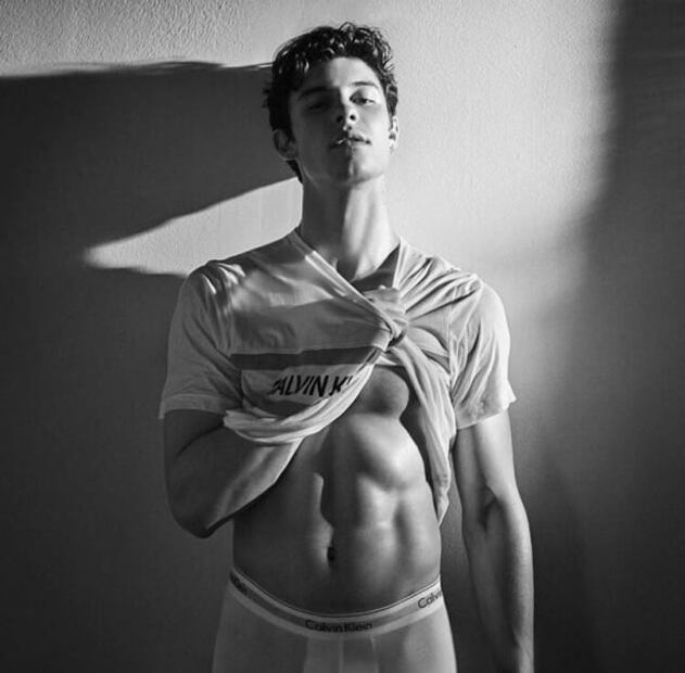 Shawn Mendes enciende las redes sociales con nueva campaña para Calvin Klein