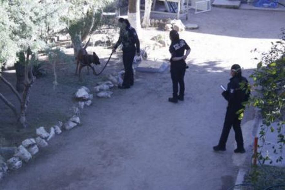 Desde 2015, no hallan armas en 'Operativo Mochila' en Hermosillo