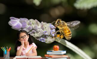 ¿Qué significa que una abeja se acerque a tu casa?; ciencia, cultura y simbolismo
