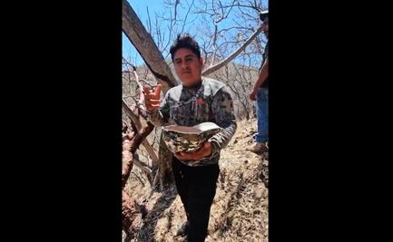 Inician denuncia penal contra “Luis Mi Padre Hermoso”; tiktoker saqueó nido de pericos recién nacidos en peligro de extinción