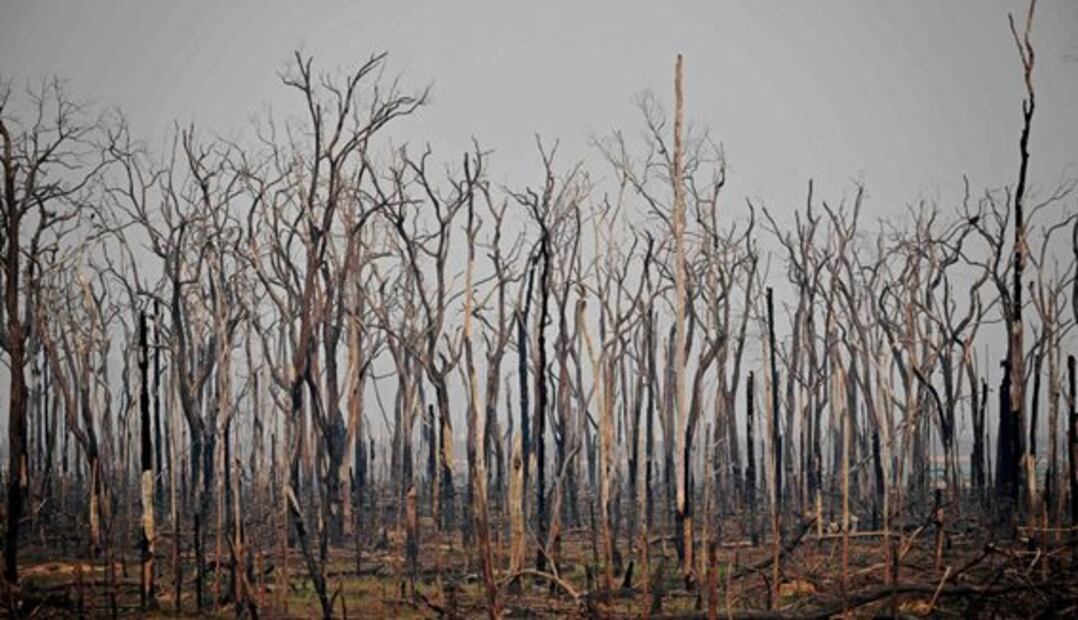 Las imágenes de los incendios registrados en la selva amazónica de Brasil