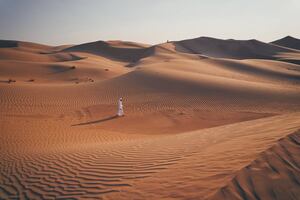 Del desierto a las alturas: ¿qué hacer en Dubái?