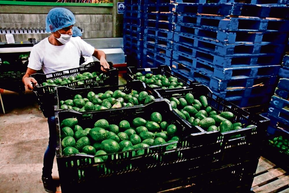RV Fresh Foods es una empresa dedicada al guacamole. Foto: archivo