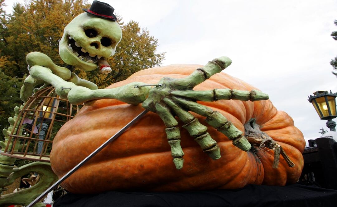 Las calabazas son un elemento clásico del otoño - Foto: Winfried Rothermel/AP