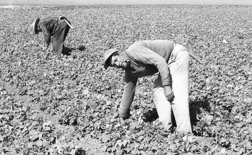 Además de las quejas por acaparar trabajos y malbaratar salarios, existió el temor de que algunos “espaldas mojadas” también fueran comunistas. Foto: Leonard Nadel/National Museum of American History/ESPECIAL.