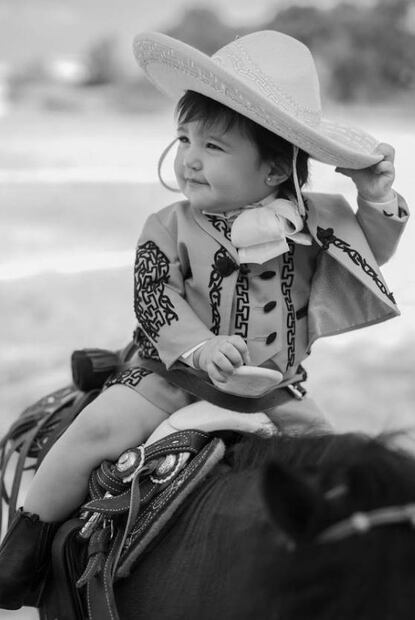 ¿Vicente Fernández, eres tú?, sorprende tremenda escultura del cantante