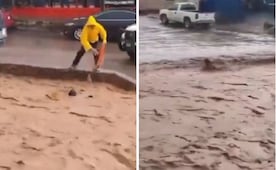 Héroe sin capa: Joven rescata a un perro arrastrado por la corriente en Sonora; video se viraliza