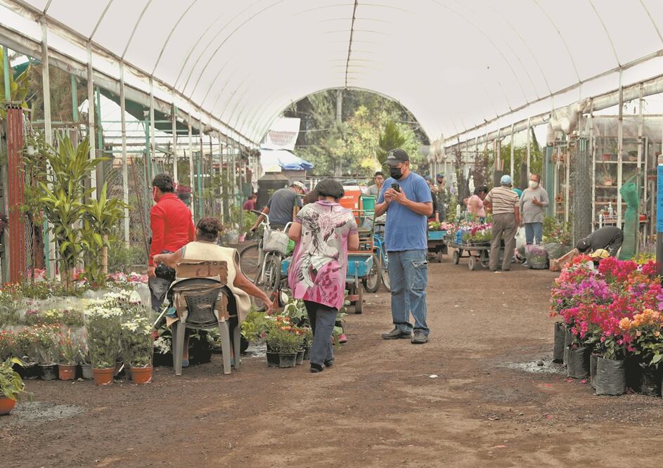 La decisión del gobierno capitalino de cerrar el mercado Palacio de la Flor, en Xochimilco, ha afectado a los locatarios, quienes han visto cómo sus ventas se han desplomado debido a la crisis sanitaria. FOTOS: ADRIANA HERNÁNDEZ. EL UNIVERSAL