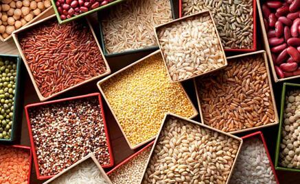 Crece el "Arca de Noe vegetal", la reserva mundial de semillas; llegan granos palestinos pese a guerra y hambre en Gaza