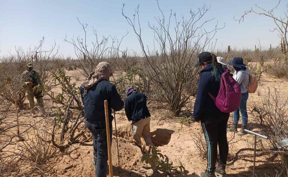 Localizan nuevas fosas clandestinas en Baja California Sur (17/03/2025). Foto: Especial