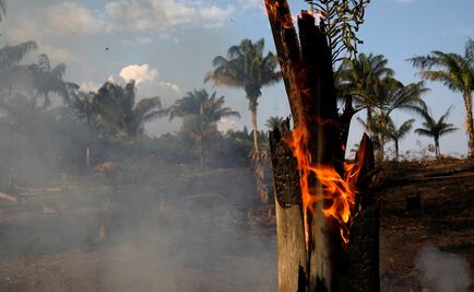 Incendios en el amazonas podrían ser provocados por ONG, insinúa Bolsonaro