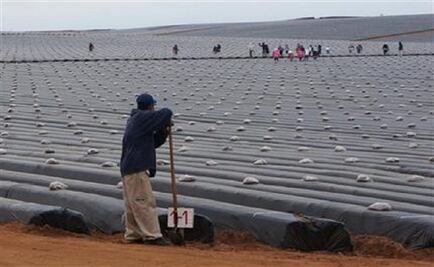 Laborers of San Quintín reach agreements with the government