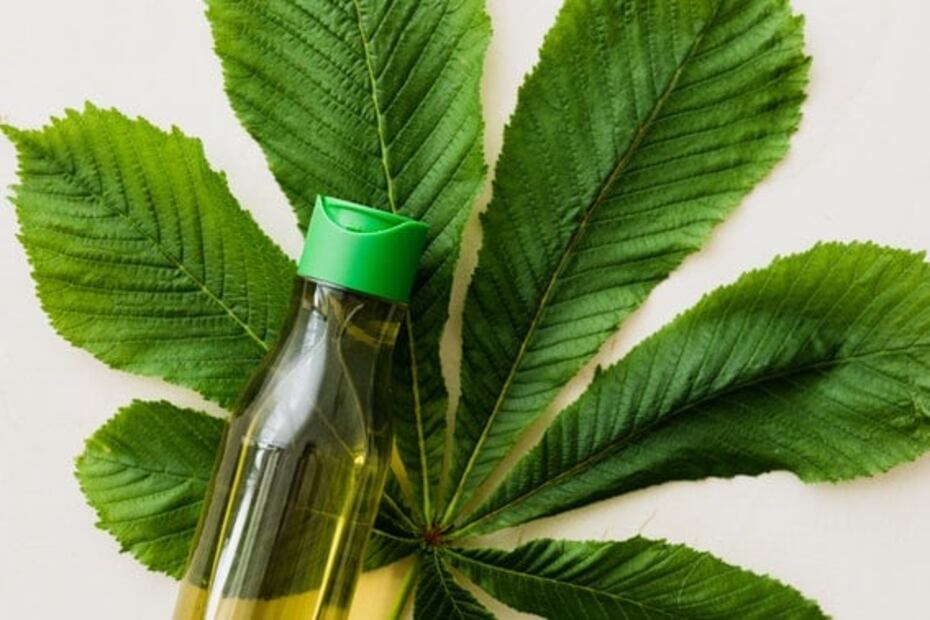 Shampoo de cebolla, el más efectivo para hacer crecer el pelo 
