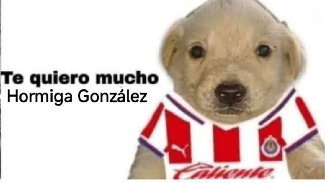 Los mejores MEMES del triunfo de Chivas ante América en el Clásico Nacional