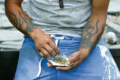 “Uso de cannabis medicinal ya es un hecho”