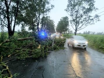 ¡Toma tus precauciones! Carreteras de Zumpango se encuentran parcialmente cerradas por caída de árboles tras fuerte lluvia