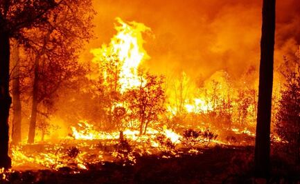 Protección Civil reporta 114 incendios activos en el país; avanzan trabajos en Tepoztlán