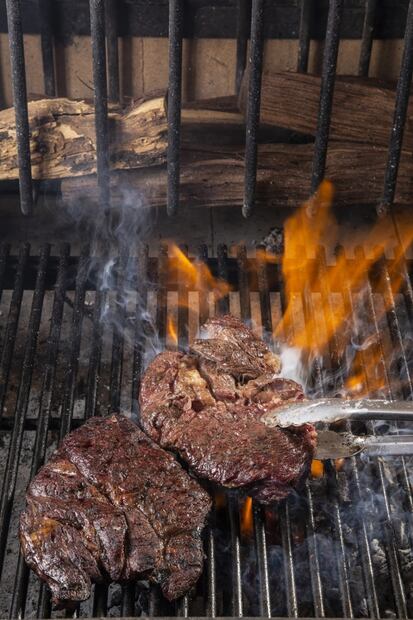 Domina el arte del asado