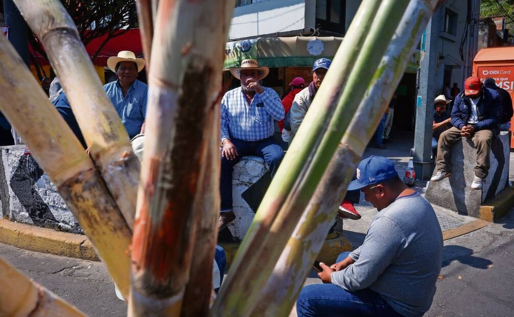 Los cañeros plantearon al gobierno federal la necesidad de un rescate
financiero ante la caída de precios y el incremento de importaciones. Foto: Luis Camacho / EL UNIVERSAL