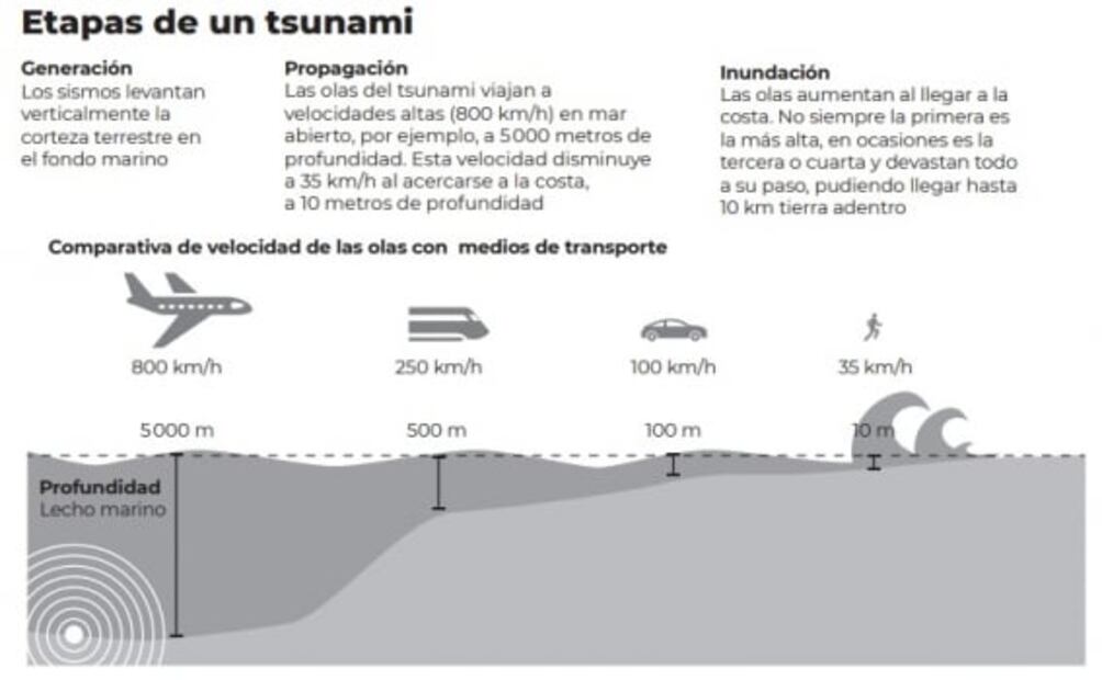 ¿Qué es un tsunami y cómo se forma?