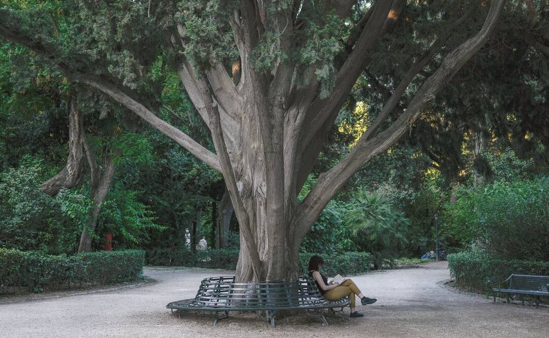 Países como Japón han tenido que crear ministerios para combatir los problemas de la soledad entre su población. Foto: Petros Giannakouris. AP