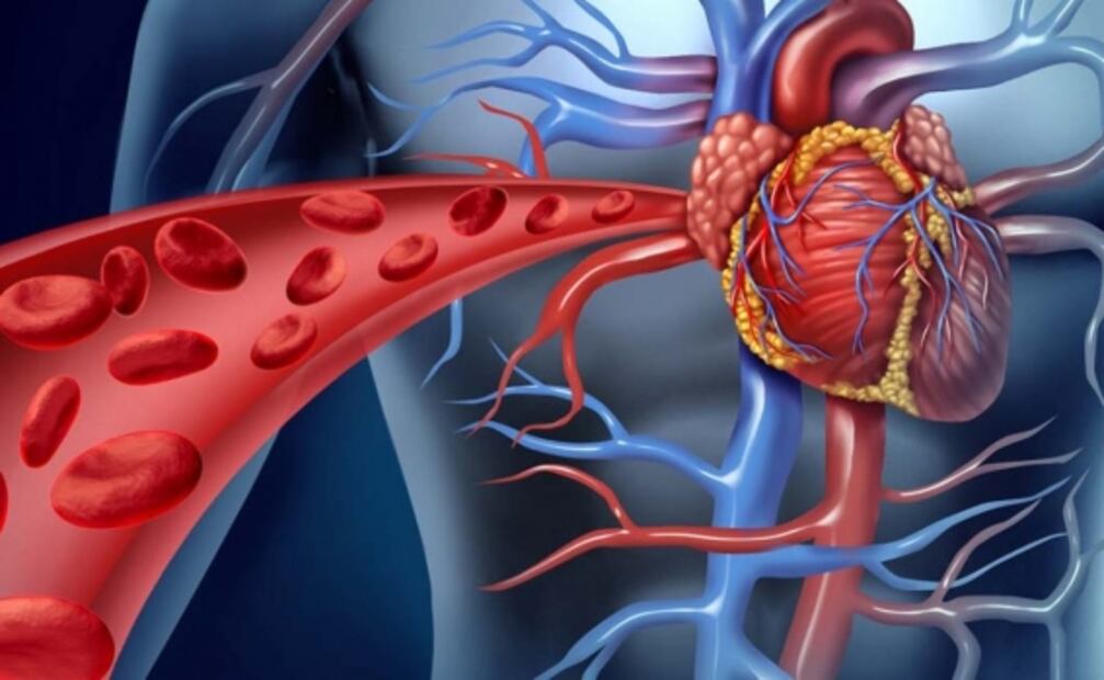 ¿Los niños pueden sufrir cardiopatías?