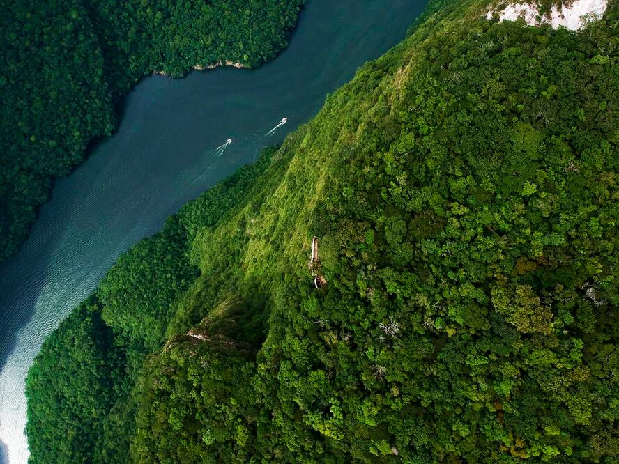 Reserva de la Biósfera Montes Azules, en la Selva Lacandona. Foto: Istock
