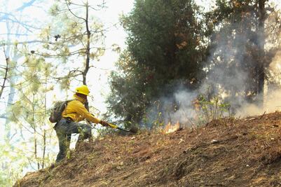 Brigadista resulta lesionado por explosión de artefacto en Concordia, Sinaloa; sofocaba un incendio forestal