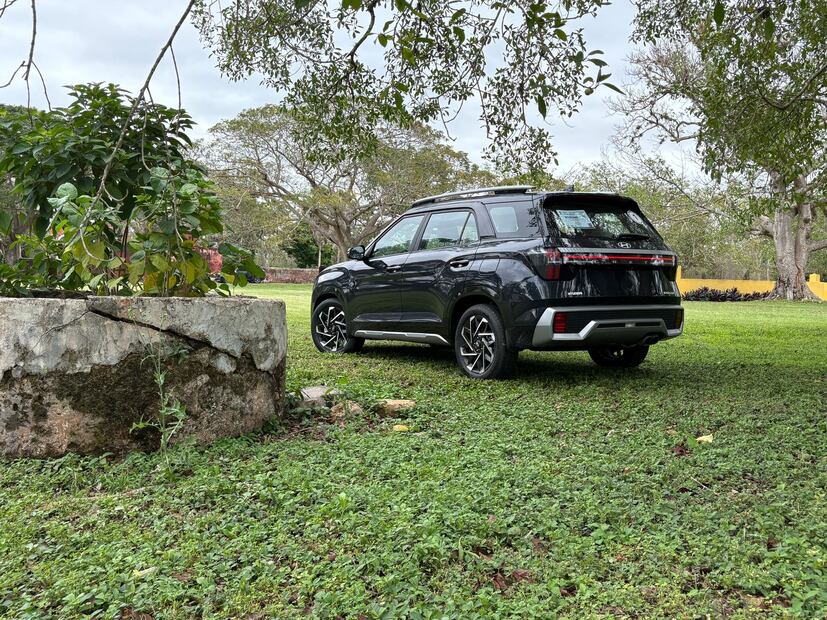 Foto: Bruno Dagio. El Universal