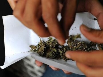 Marihuana en México: qué implica el fallo de la Suprema Corte y qué dudas plantea su decisión