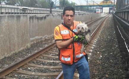 Rescatan a perro en la estación Guelatao del Metro