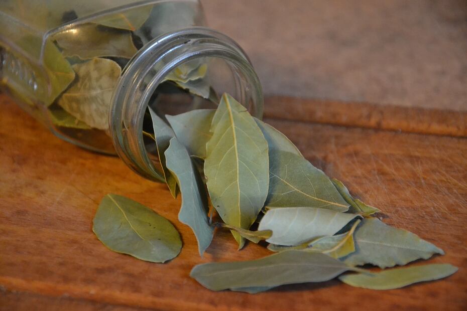 Laurel y descanso. Fuente: Pixabay
