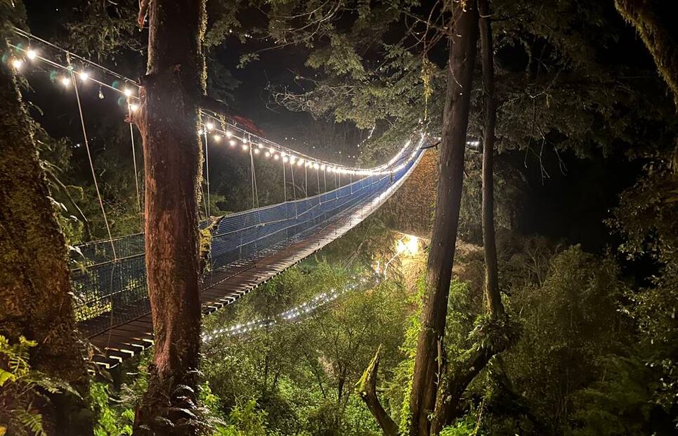 Foto: Omar Moreno. El Universal