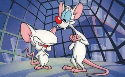 Warner Bros. prepara el regreso de "Pinky y Cerebro"