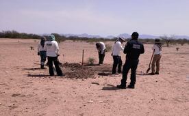 Hallan 16 osamentas en Guaymas en menos de una semana; ubican nuevas fosas clandestinas