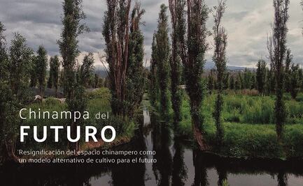 Arte, tecnología y ciencia: mexicanos van por el Flash Act