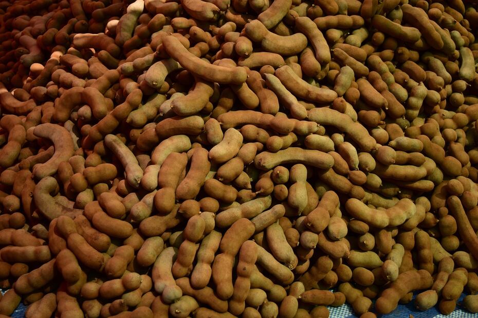 Estos son los beneficios del tamarindo. Foto: Pixabay