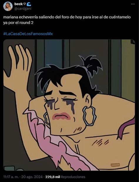 Memes Mariana Echeverría. Foto: Captura de pantalla