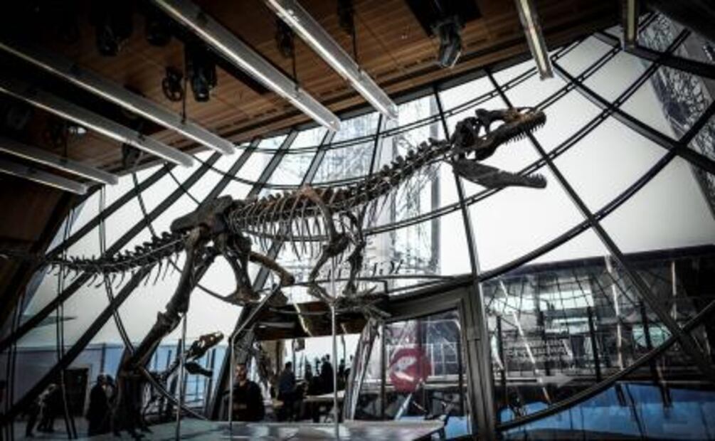 Subastan esqueleto de misterioso dinosaurio carnívoro