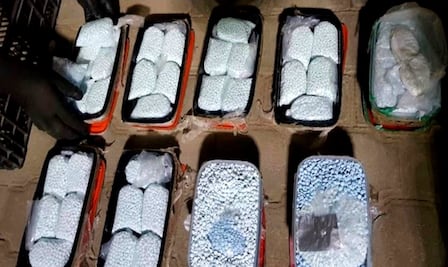 Fuerzas federales han causado pérdidas de más de un billón de pesos a cárteles de las drogas