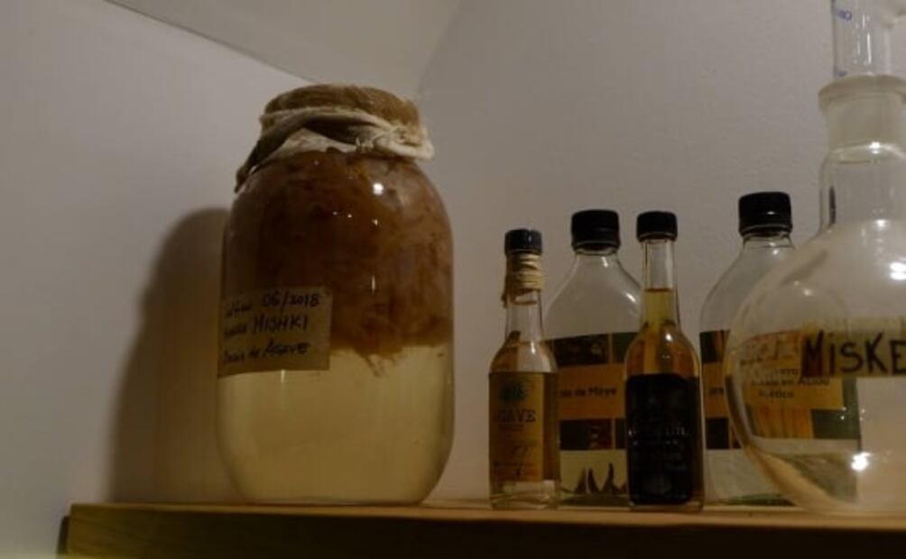No es tequila, no es mezcal: es Miske, la bebida nacional de Quito, Ecuador
