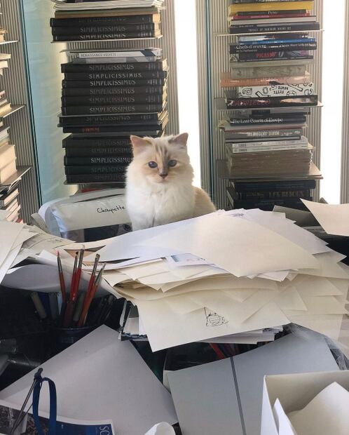 Día Internacional del Gato: Conoce a Choupette, la gata más rica de la moda