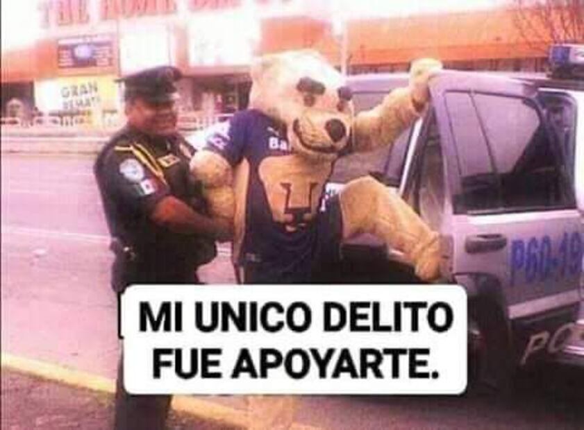 Pumas Memes